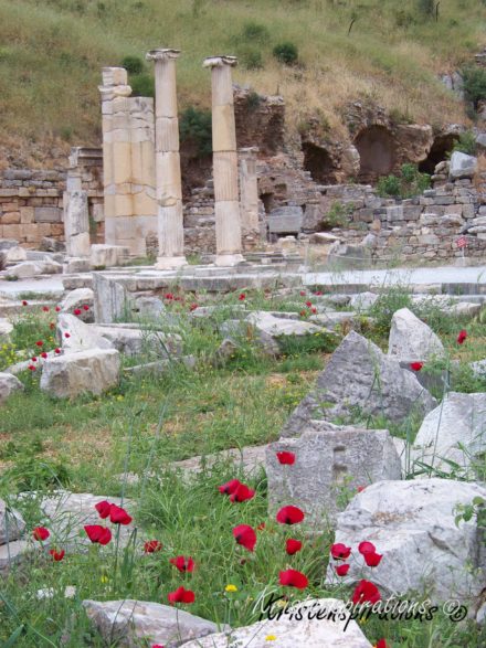 Blooms Among Ruins — Athens, Greece