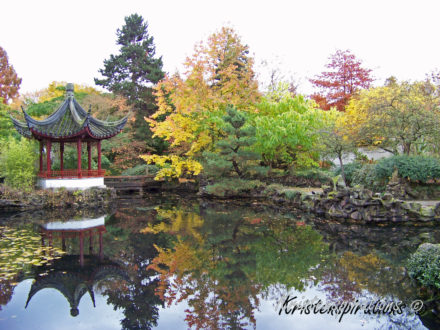 An Oriental Gardenscape