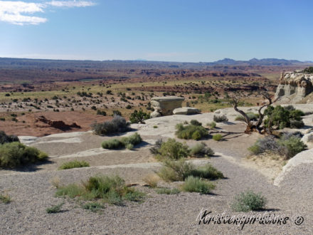 Desert Landscape