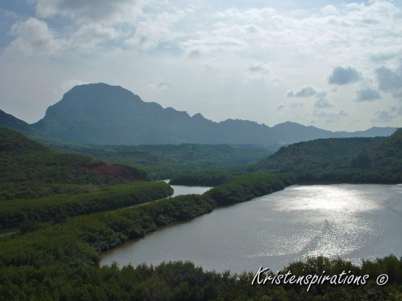 Lush Mountainscape