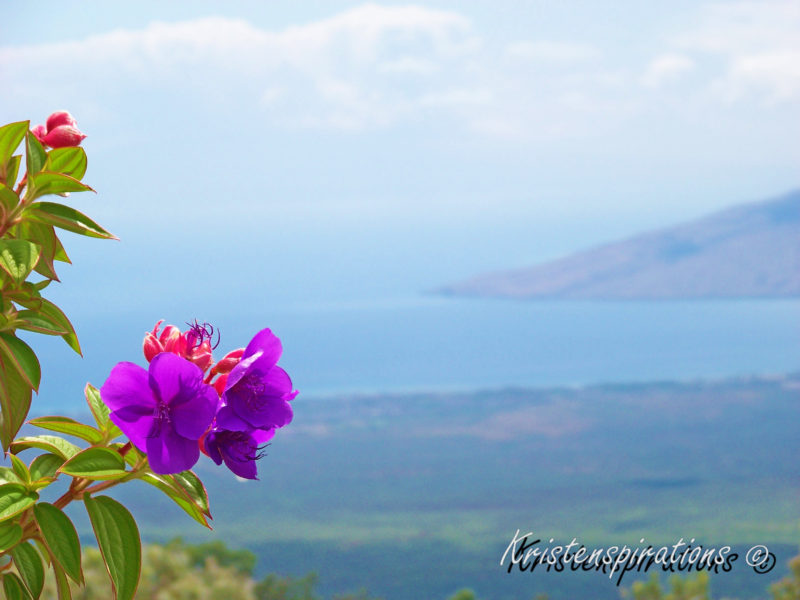 Island Flower: A Landscape