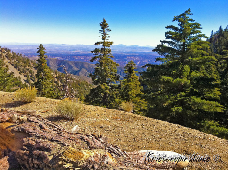 On A Log, On A Mountain, On Earth