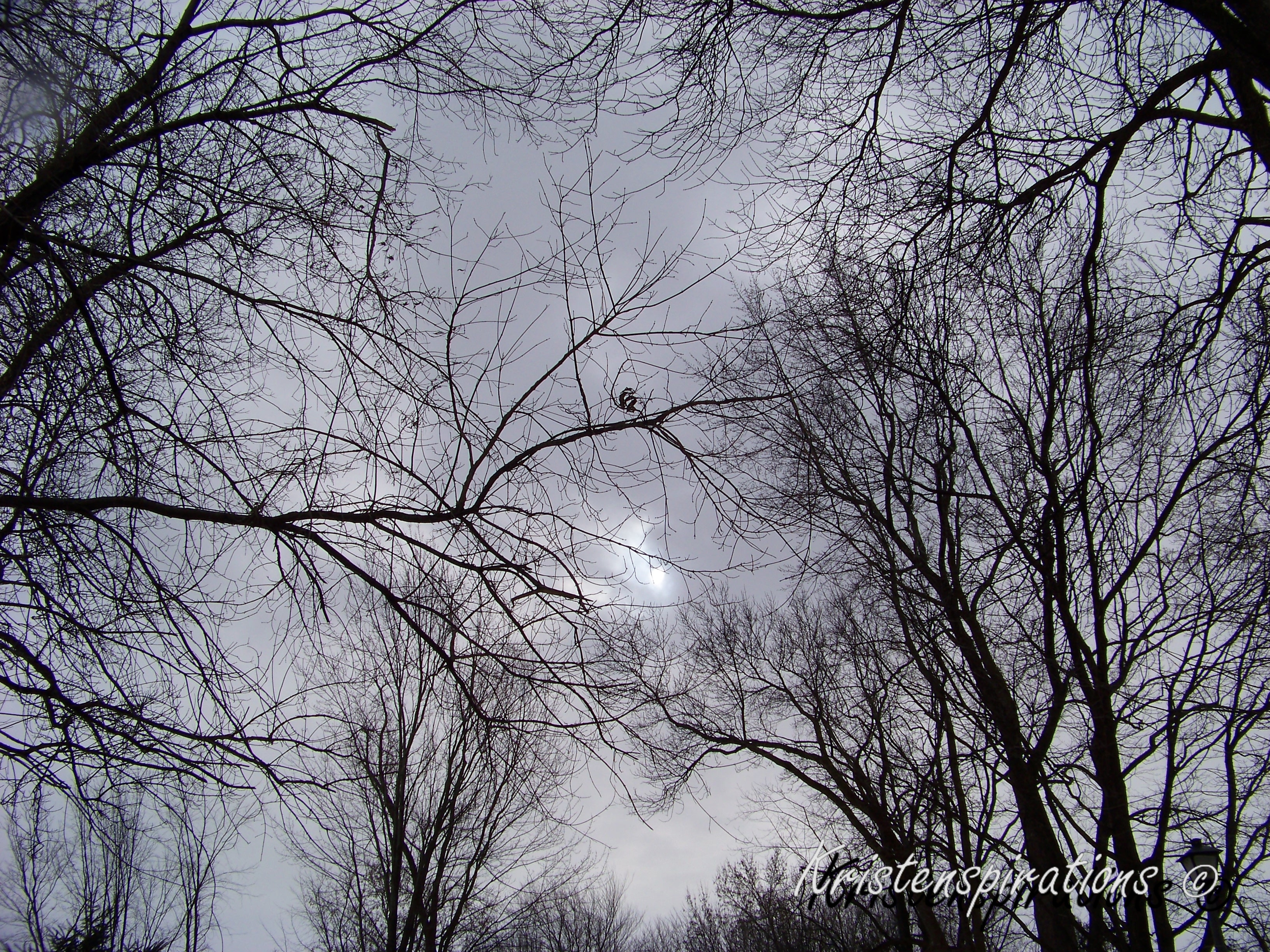 Silhouettes to a Storm – Kristenspirations Photography