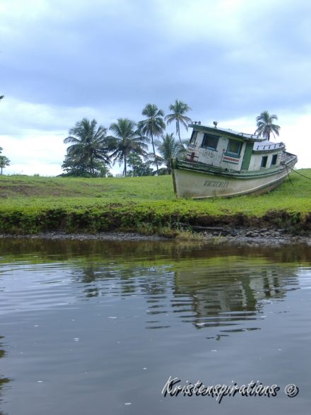 A Minnow’s Fate — Costa Rica