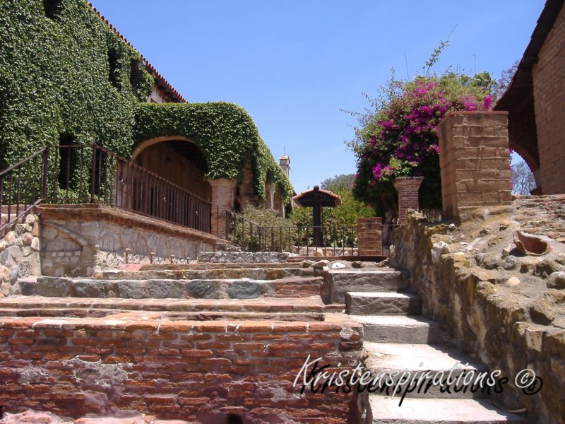 Bricks Blooms & Ivy