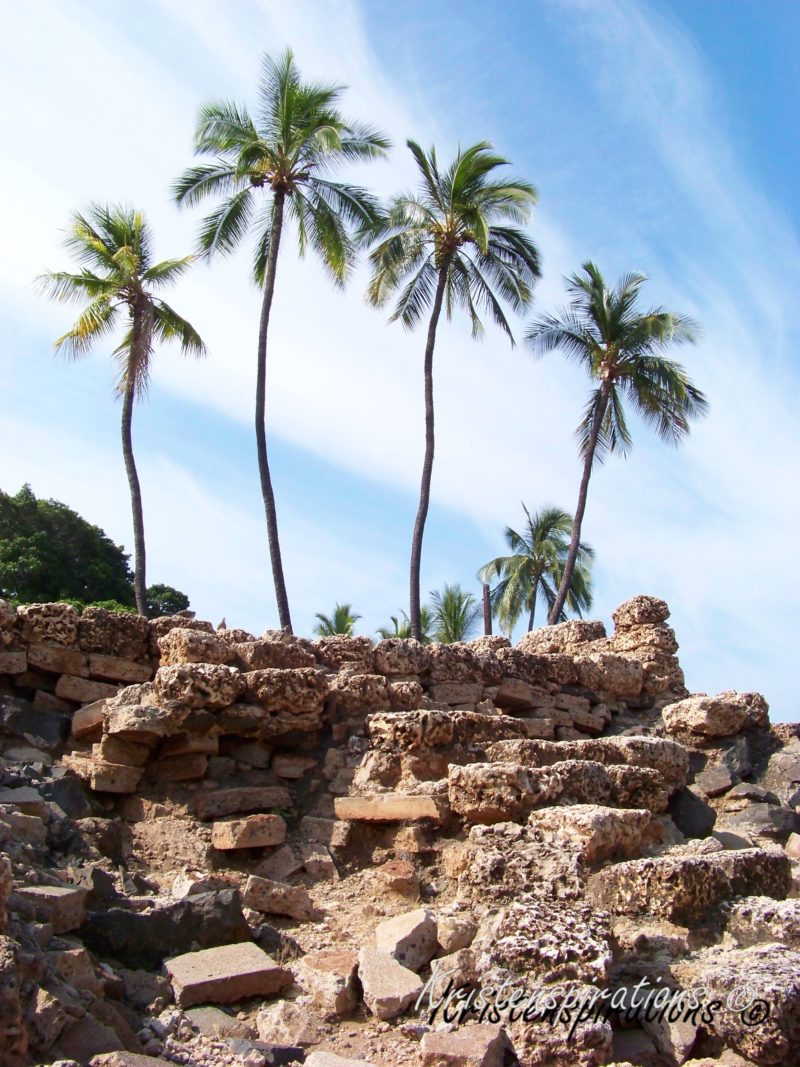 Roots from the Ruins — Maui, HI